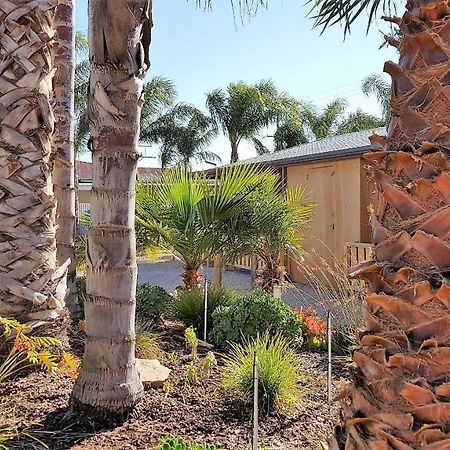 The Courtyard - Garden View Studio Port Pirie Luaran gambar