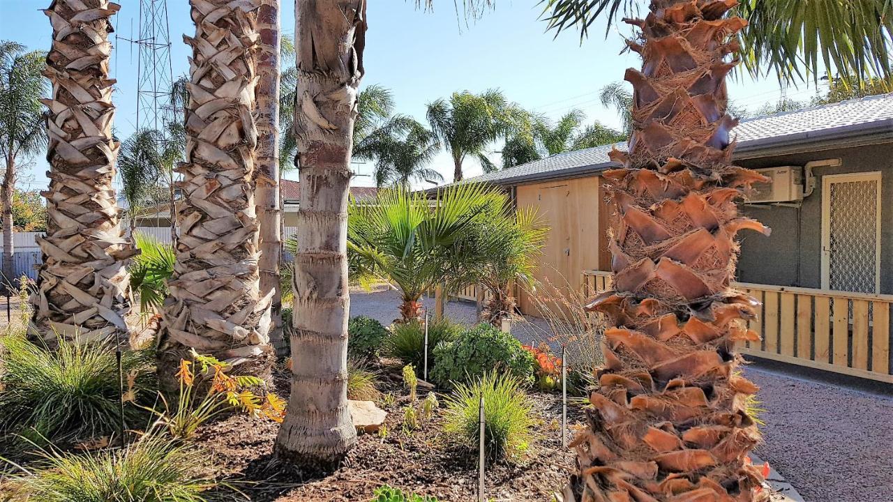 The Courtyard - Garden View Studio Port Pirie Luaran gambar
